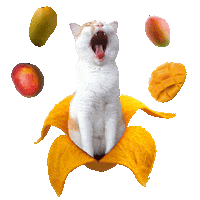 Happy Roar Sticker