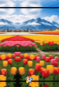 Amigos Buenos Dias GIF by Murcianys LLC