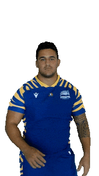 Rugby Italia Sticker by Zebre Parma