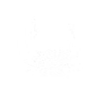 Scheldebrouwerij hello beer wink bier Sticker