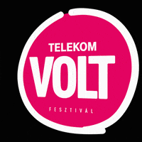 voltfesztival volt sopron voltfesztival volt2019 GIF