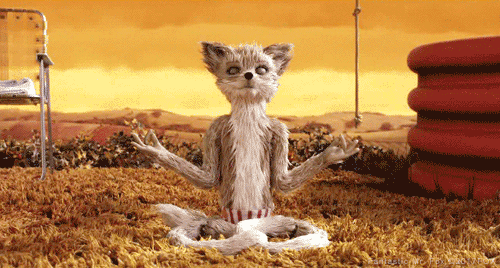 Wes Anderson Peace GIF by 20th Century Fox Home Entertainment