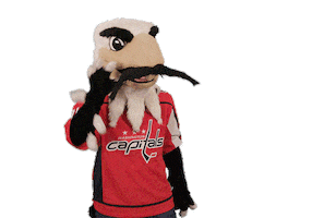 Ice Hockey Sport Sticker by NHL