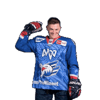 Justin Schütz Sticker by Adler Mannheim