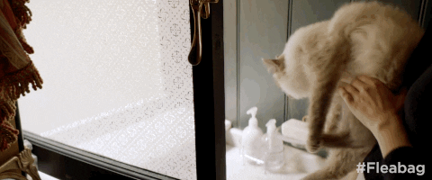 amazon originals GIF by Fleabag