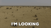 usarmy army search military soldier GIF