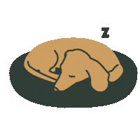 the-commons dog sleep commons the commons Sticker
