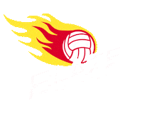 southcoastblaze blaze netball southcoastblaze nnswpremierleague Sticker