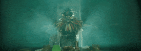 the avalanches wildflower GIF by Astralwerks