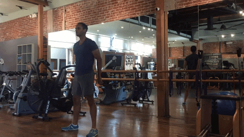 jackrabbit22 giphygifmaker GIF