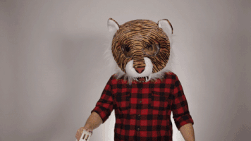 dance tiger GIF by Challenge