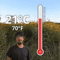 Twenty One Degrees GIF