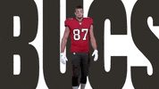 Rob Gronkowski Dancing GIF by Tampa Bay Buccaneers
