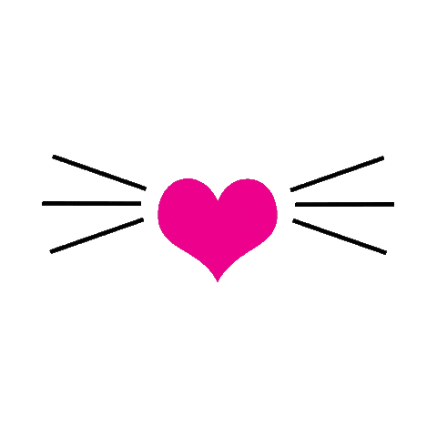 Cat Love Sticker by Yandy.com