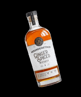 MisunderstoodWhiskey party drink bar shots GIF