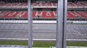 GIF by W Series