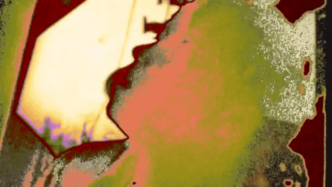Sickening GIF by Trippie Redd