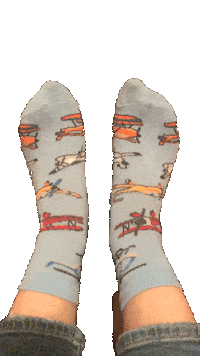 Tagjefferies Sticker by Jefferies Socks