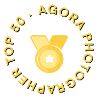 Agoraimagesapp star community winner photography Sticker