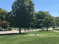 Midd GIF by Middlebury