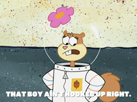 season 5 GIF by SpongeBob SquarePants