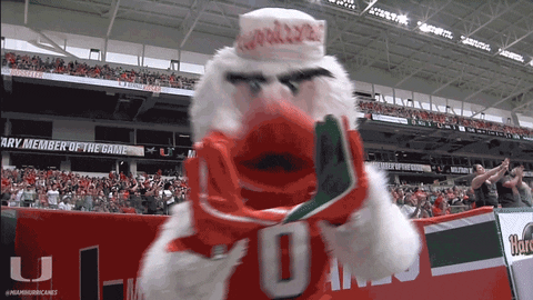 u hands college football GIF by Miami Hurricanes