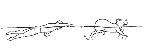 Swimmer Swimming Sticker by comacessibilidade