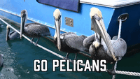 Go Pelicans