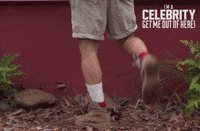 Imacelebrityau GIF by I'm A Celebrity... Get Me Out Of Here! Australia