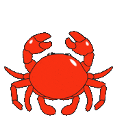 Under Water Love Sticker by Nicole Ginelli