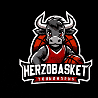Herzobasket  GIF