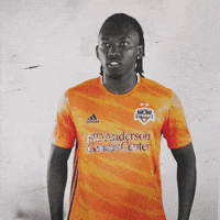 La Pantera Wink GIF by Houston Dynamo