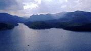 north carolina GIF
