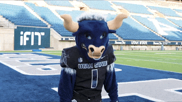 Big Blue Celebration GIF by Utah State University