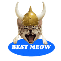 Cats Meow Sticker by Wisdom Panel™