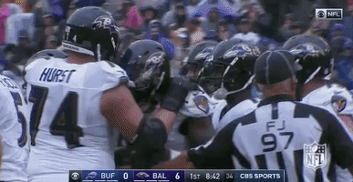 2018 Nfl Football GIF by NFL