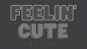 themanegroup feelingcute themanegroup GIF