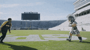 Go Blue College Football GIF by University of Michigan