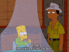 Episode 17 Mosquito GIF by The Simpsons
