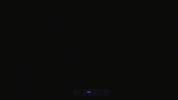 Cat Girl GIF by Pluralsight