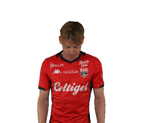 Ligue 2 Football Sticker by EA Guingamp