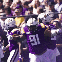 Lsu Football GIF by LSU Tigers