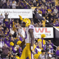 College Sports Sport GIF by LSU Tigers