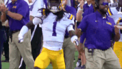 College Sports Sport GIF by LSU Tigers