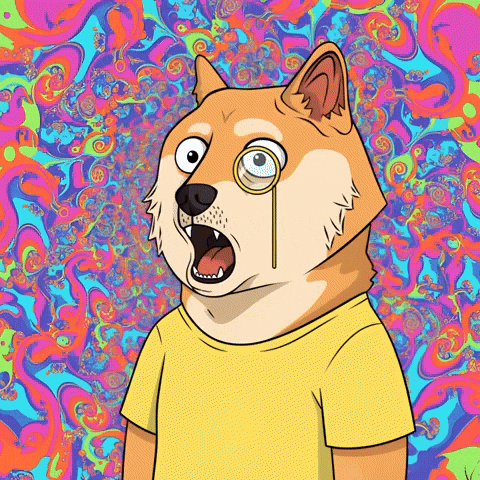 Shocked Shiba Inu GIF by Doge Pound