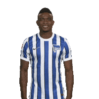 Hertha Bsc Love Sticker by Bundesliga