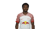 Rb Leipzig Hello Sticker by Bundesliga