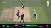 Melbourne Stars Cricket GIF by StarsBBL