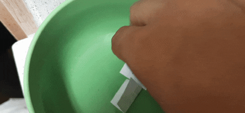 TheApocalypse giphyupload GIF