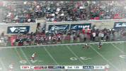 lewis als montreals alouettes GIF
